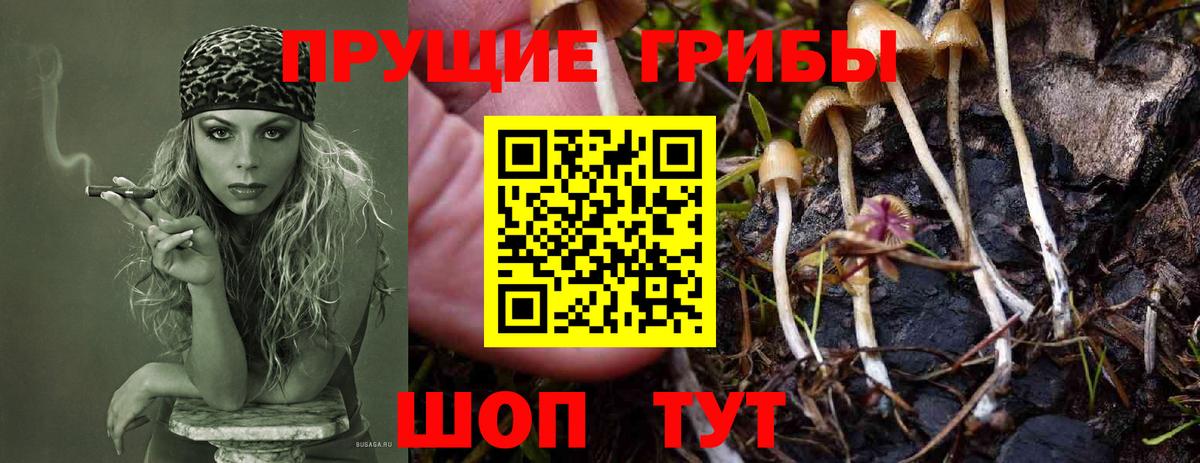 Галлюциногенные грибы ЛСД  Вход с VPN  Псилоцибиновые грибы GOLDEN TEACHER  Надым 